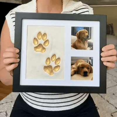 Paw'Art - Kit d'empreinte de pattes en argile