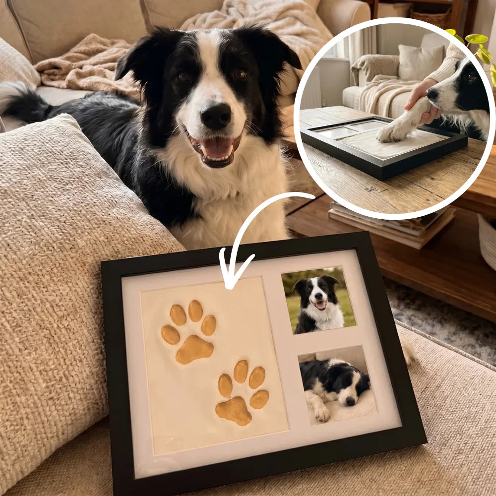 Paw'Art - Kit d'empreinte de pattes en argile
