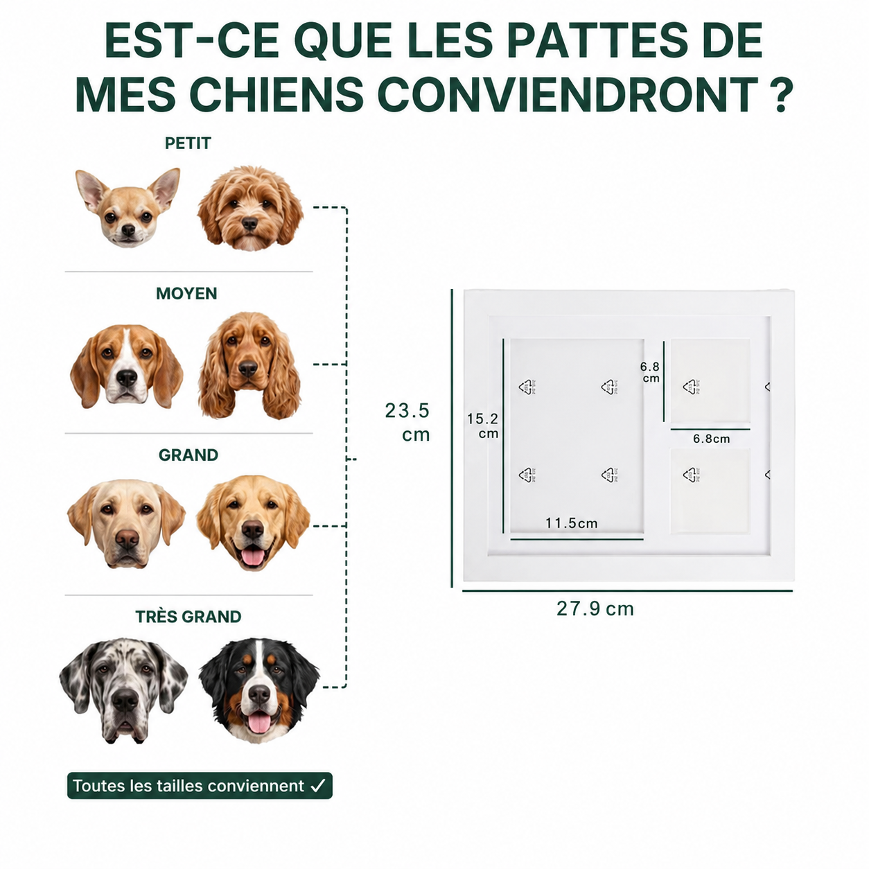 Paw'Art - Kit d'empreinte de pattes en argile
